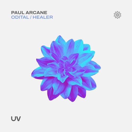 Paul Arcane - Odital, Healer [UV269]